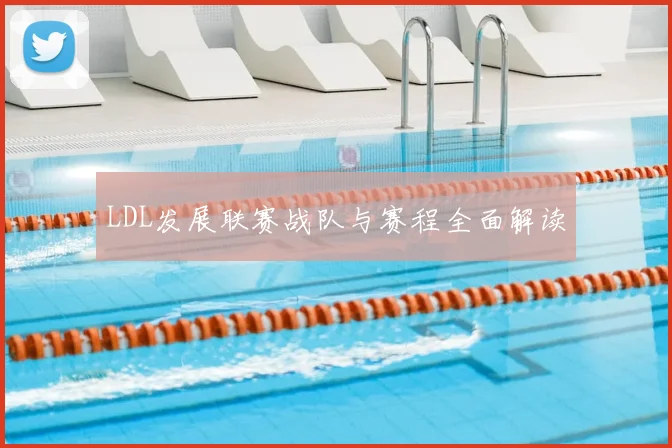 LDL发展联赛战队与赛程全面解读