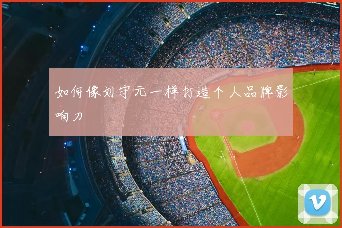 如何像刘守元一样打造个人品牌影响力