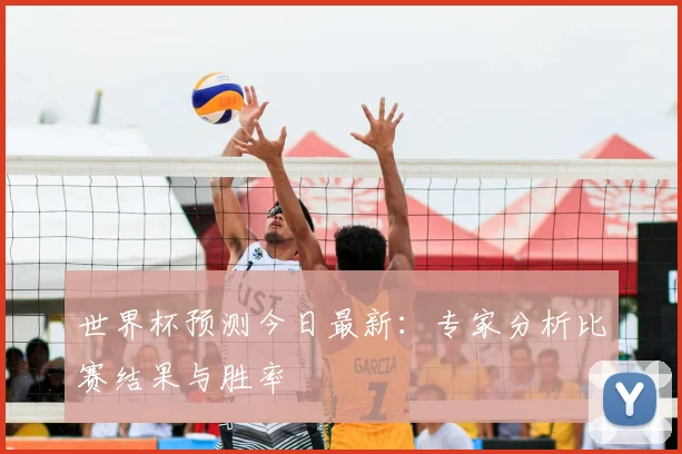 世界杯预测今日最新：专家分析比赛结果与胜率