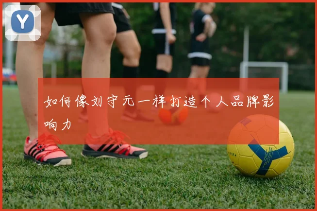 如何像刘守元一样打造个人品牌影响力
